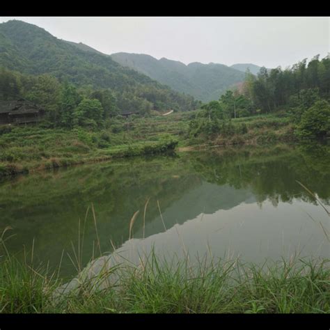 屋後有水池風水|誰家屋後有水溝最不吉？